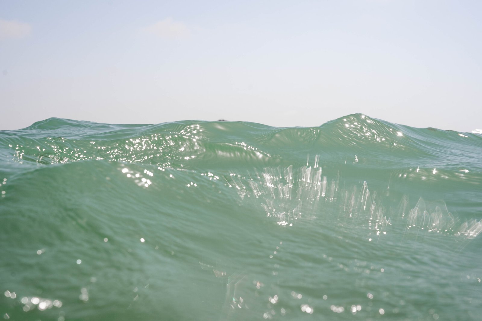 Full Ocean Experience