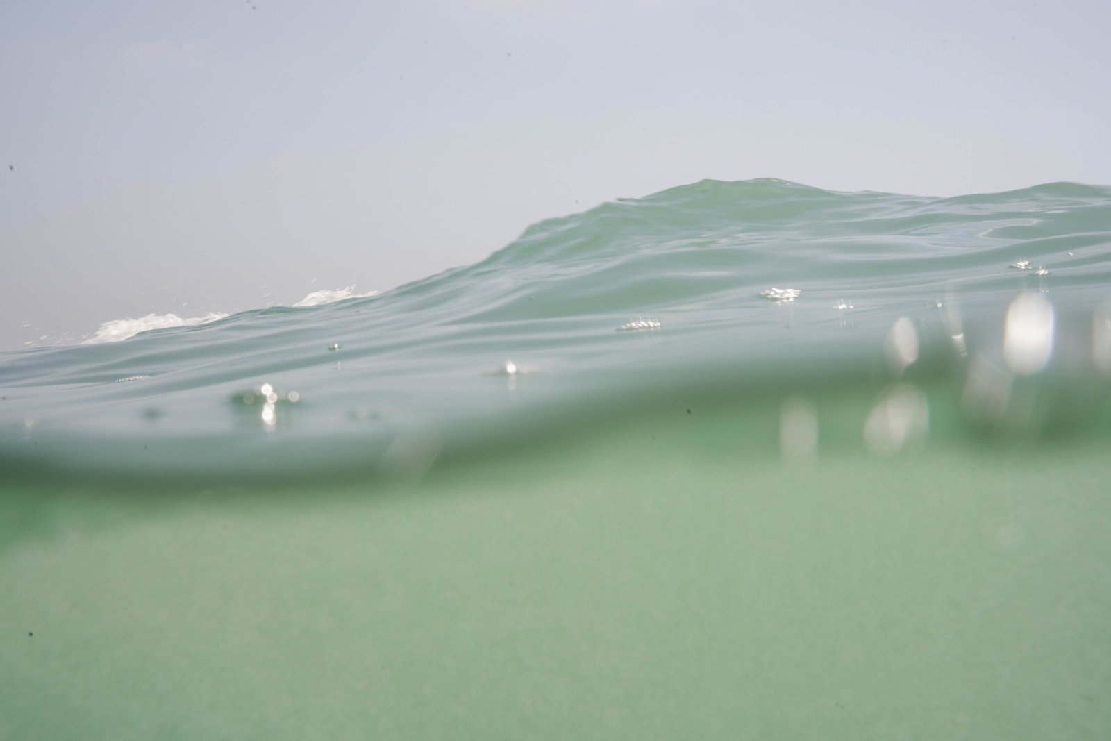 Full Ocean Experience